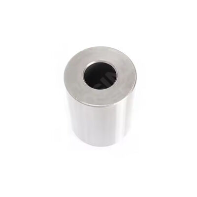 Amplamente aplicável Durabilidade extrema ML100 Grau de Carbono de Tungstênio Polido Superfície Punching Dies OEM 3 anos de garantia RIXIN