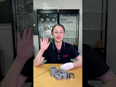 O carboneto de tungstênio Puching morre para as peças de perfuração da ferramenta do molde